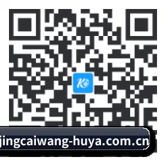 系统版 iOS 二维码